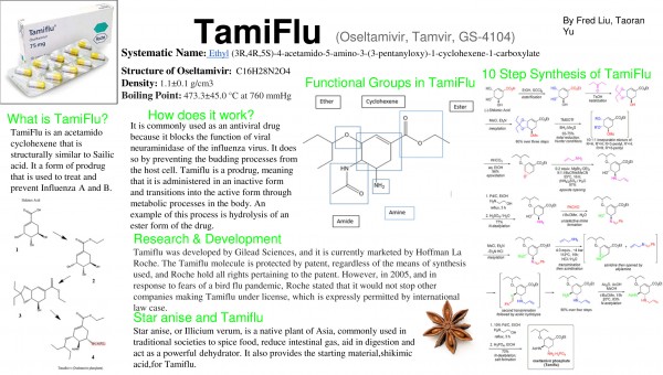 Microsoft PowerPoint - Copy of TamiFlu presentation.pptx